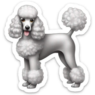 Dog Standart Poodle full body sticker