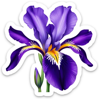 Croatian iris flower sticker