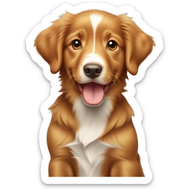 Nova Scotia duck tolling retriever puppy sticker