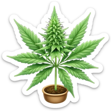 Cannabis sticker