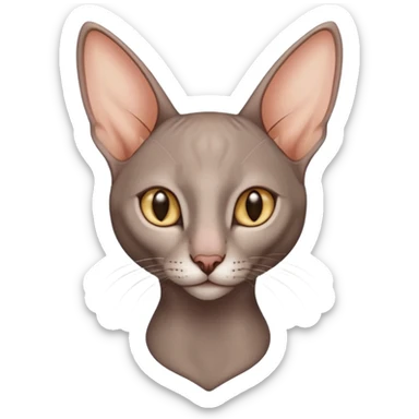 Oriental short hair cat sticker
