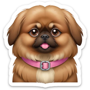 A brown Pekingese dog with pink collar sticker