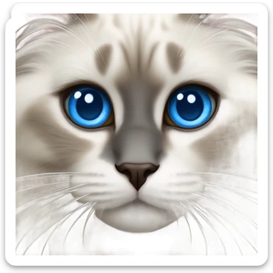 Ragdoll with blue eyes sticker