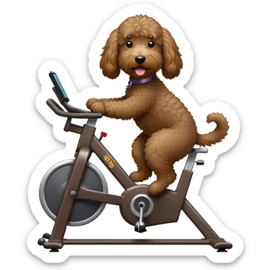 Dark brown goldendoodle riding a spin bike sticker