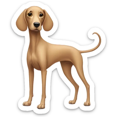 dog with extra long legs and no hair  sticker