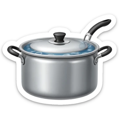 small metal pot filled with boiling water on a stove, visible hot steam and rising bubbles, realistic heat effect, shiny pot surface, bright lighting, clean white background

 sticker
