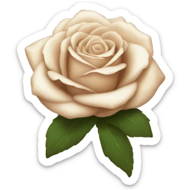 Beige rose with white bow sticker