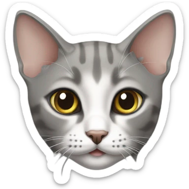 Oriental short hair cat grey sticker