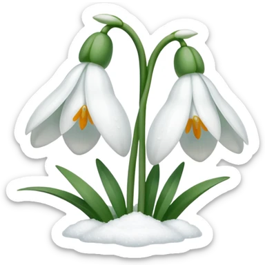 double snowdrop sticker