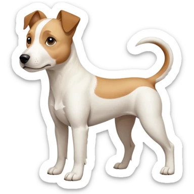 a full body facing front on of a buff white parson russell terrier looking dog the size of a kelpie with light brown long ears resting on its face and a light brown patch above one eye and a large snout. the rest of the dog is completely white.  sticker