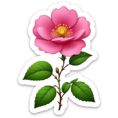 wild rose sticker