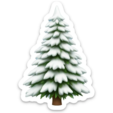  actual white fir christmas tree isolated.  sticker