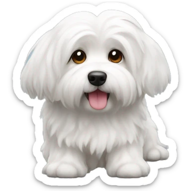 Coton de tulear dog sticker