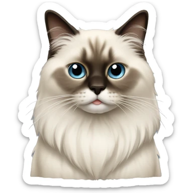 Long fur birman cat full sticker