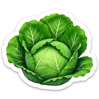 cabbage leaf   sticker