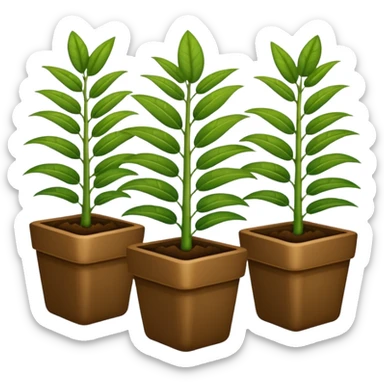 plantas abundantes tipo helecho en macetas rectangulares color café sticker