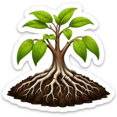 soil organic carbon with mangroves dropping leaves onto soil to rot sticker