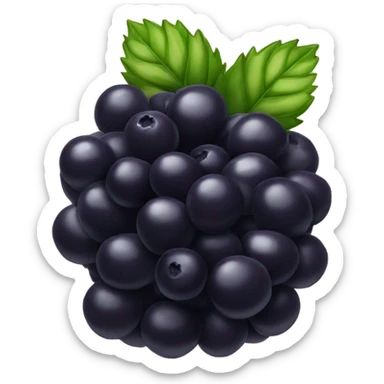 black berry  sticker