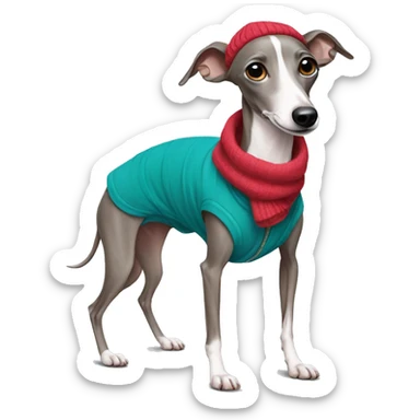 Italian Greyhound with clothes sticker