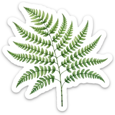 A close-up of a fern plant with intricate leaves, painted in soft watercolor greens with a subtle textured background.
 sticker