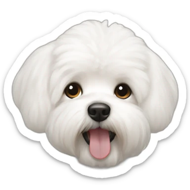 bishon frise sticker
