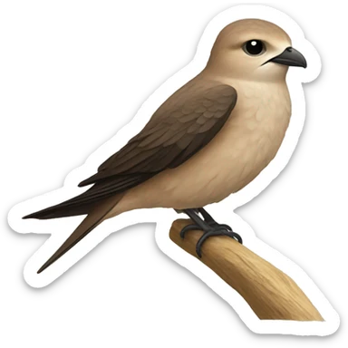 Common swift sticker