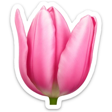 pink tulip sticker