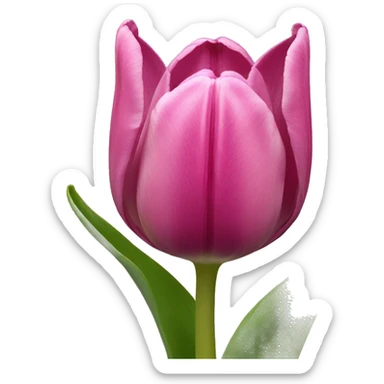 Tulipans  sticker