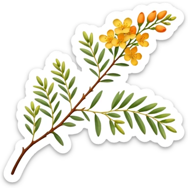 A delicate acacia flower with soft petals and vibrant colors, blooming on a slender branch with green leaves sticker
