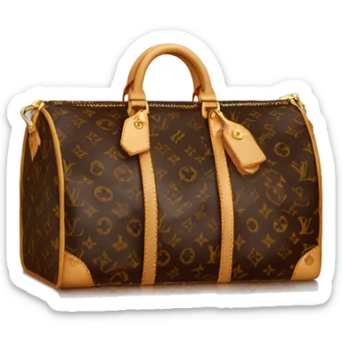 Louis Vuitton bag sticker