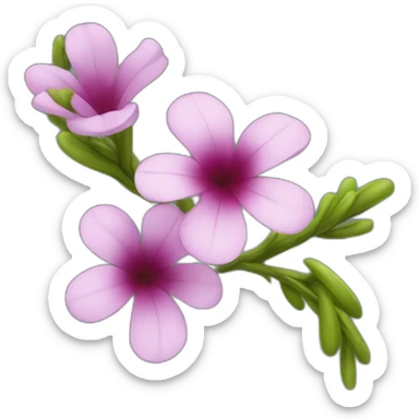 branche chou-fleur sticker