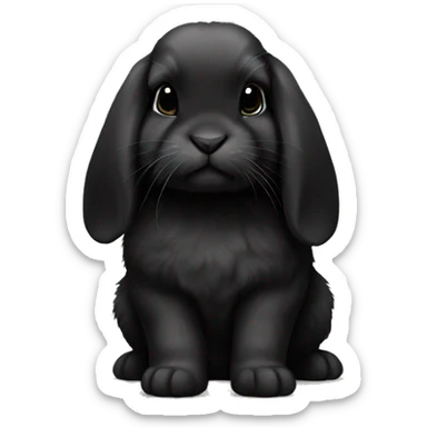 black holland lop bunny  sticker