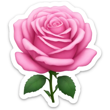 Pink rose  sticker
