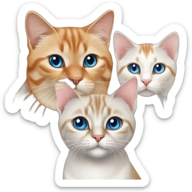 three cats, one lynx point siamese cat with blue eyes, one orange and white tabby cat, and one all orange cat with orange eyes sticker