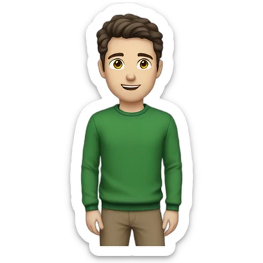white guy, 30 years old, dark hair, medium height, blue eyes, wearing a green pullover, gray chinos and brown chelsea pants sticker