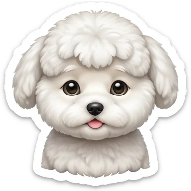 white baby Bichon Frise only face  sticker