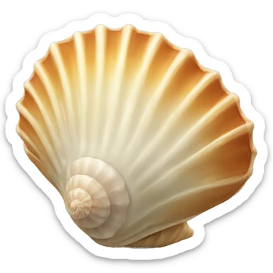 seashell sticker