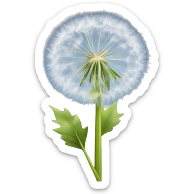 dandelion sticker