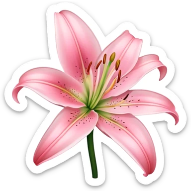 light pink lilium sticker