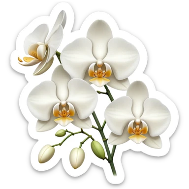 white orchids sticker