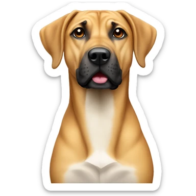 Black mouth cur  sticker