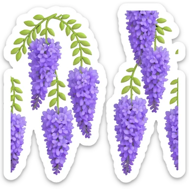 Detailed wisteria blossom with hanging clusters of lavender flowers in pendulous racemes and delicate green foliage sticker