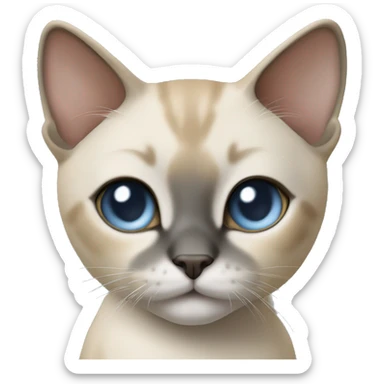 Thai breed cat with a light cream-brown body, dark gray nose and face, ears, and paws. sharp ears, and striking light blue eyes  sticker