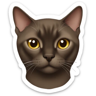 dark brown burmese cat with shaped on the face sticker