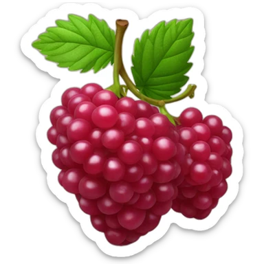 Framboise fruit sticker