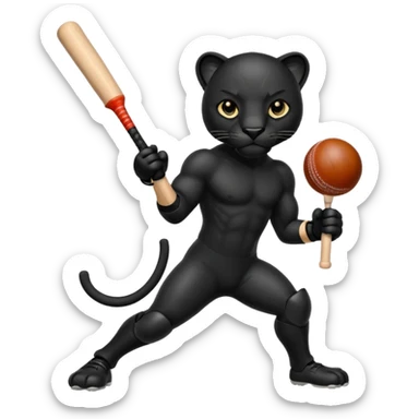  Panther in cricket sticker