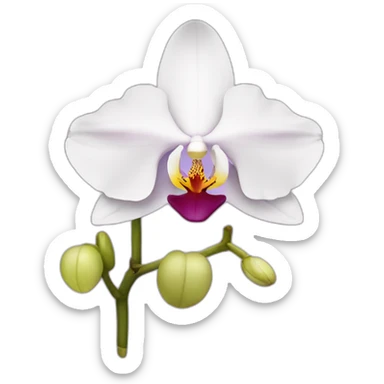 orchid sticker