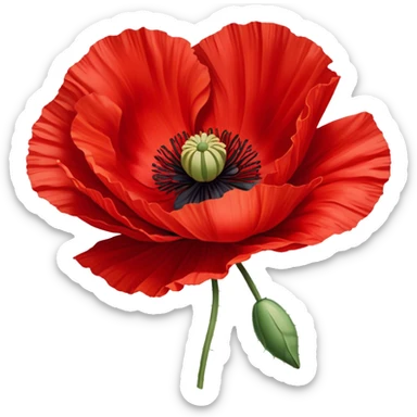 A vibrant red poppy in full bloom, its petals slightly ruffled by the wind. The rich scarlet hue contrasts beautifully with a soft beige linen backdrop. sticker