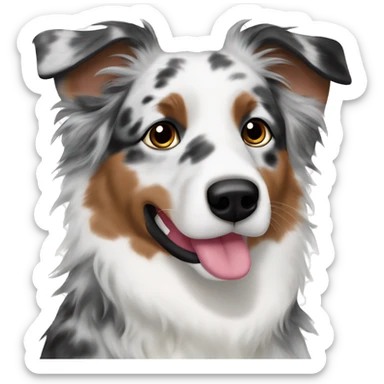 Merle patter Australian Shepherd no white or brown only grey and black  sticker