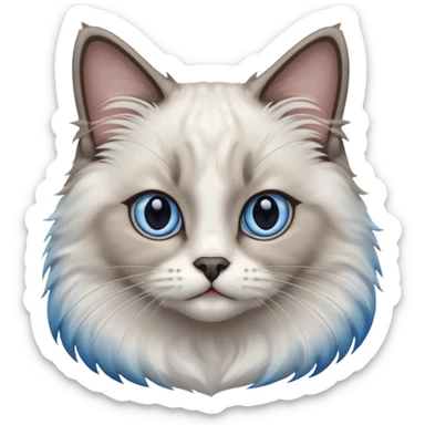 Ragdoll cat, with dark nose area with bright blue eyes sticker